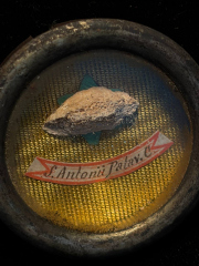 Large First-Class Relic of Saint Anthony of Padua Confessor