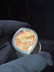 Large Relics of Saint Ludmila and Saint Wenceslaus of Bohemia