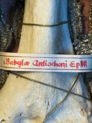 Monumental Reliquary of Saint Babylas of Antioch, Bishop and Martyr