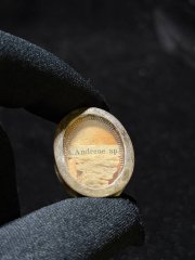 Relic of Saint Andrew the Apostle in pure sterling silver reliquary